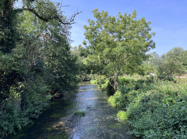 Wylye